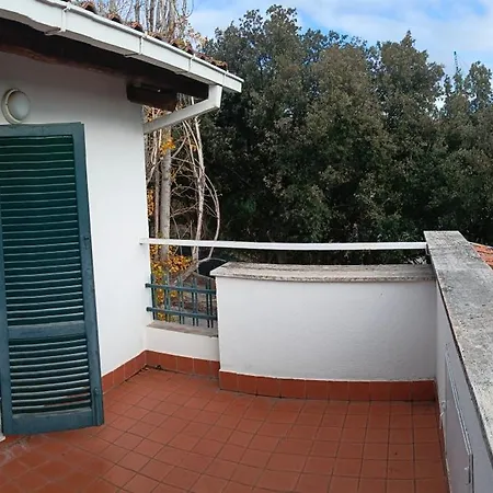 Bambù Affittacamere&residence Affittacamere *